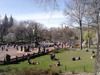 central park fountain